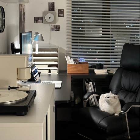 Your Chair, Pet-Approved: Why Leather Still Wins