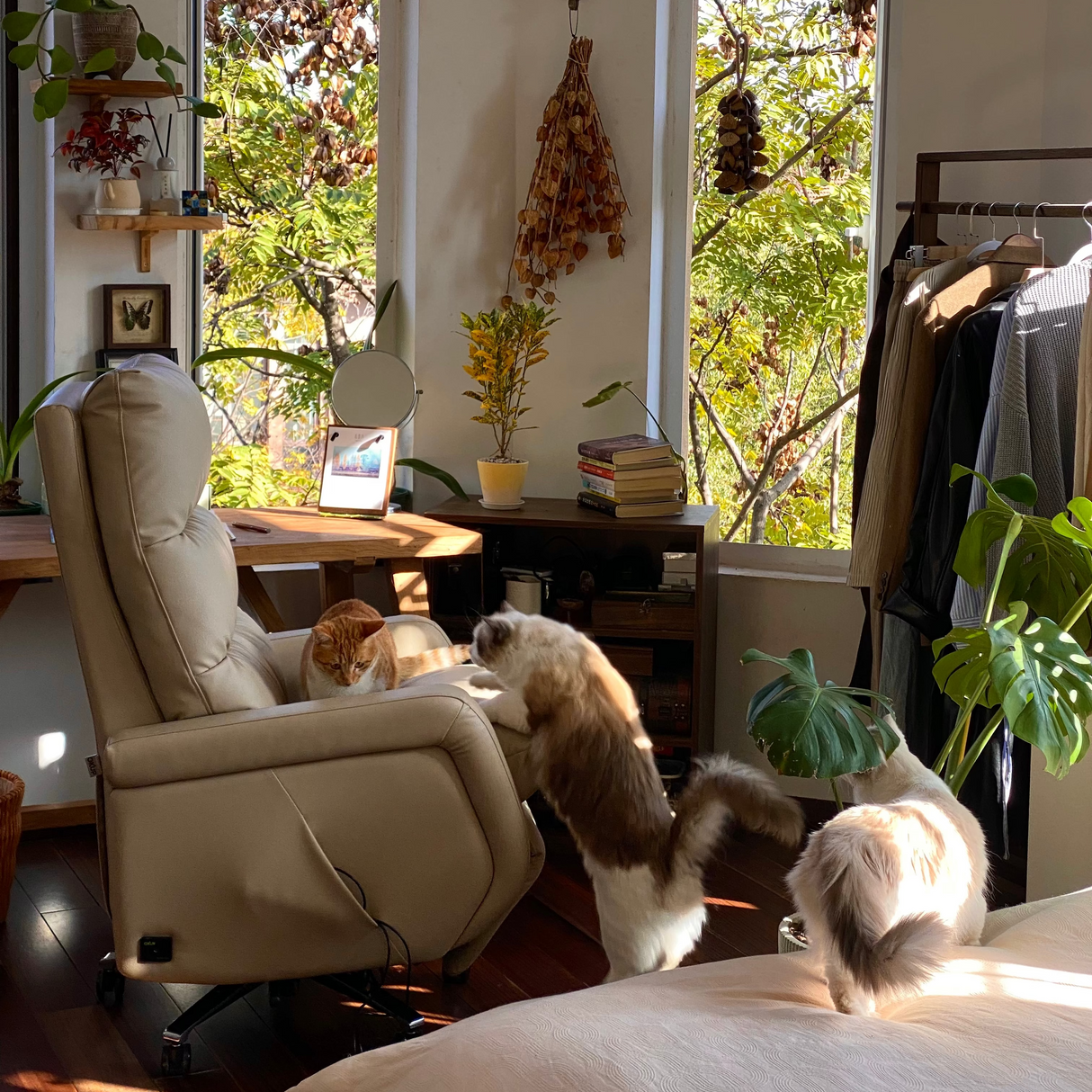 M63 Powered Office Chair